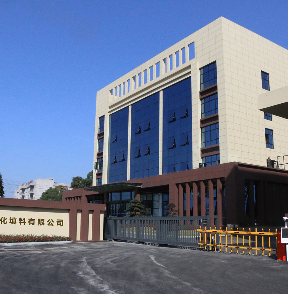 Welche Funktion hat der VSP-Ring aus Kunststoff?