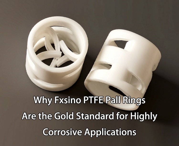 Warum Fxsino PTFE-Pallringe der Goldstandard für hochkorrosive Anwendungen sind