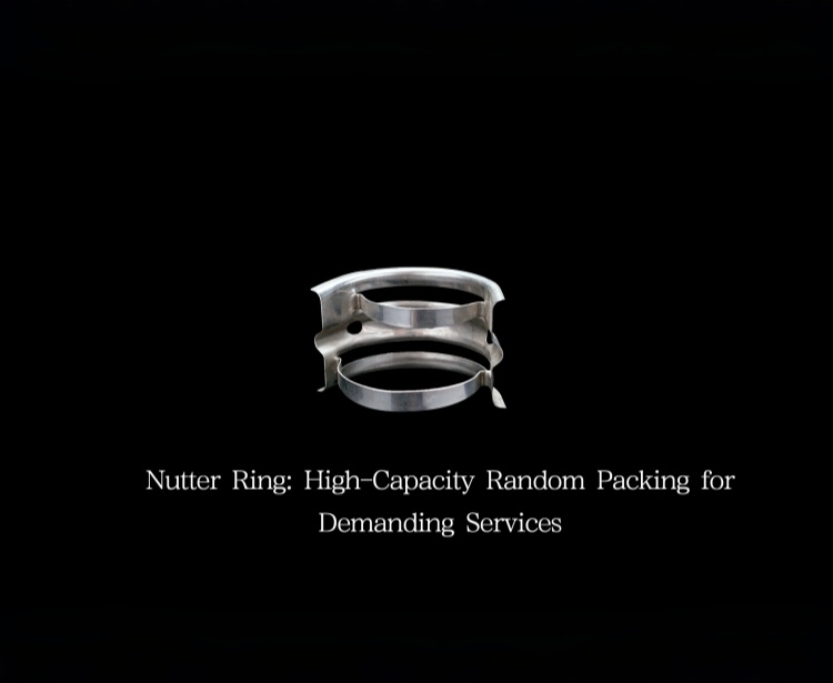 Nutter Ring: Hochleistungsfähige Zufallspackung für anspruchsvolle Anwendungen
